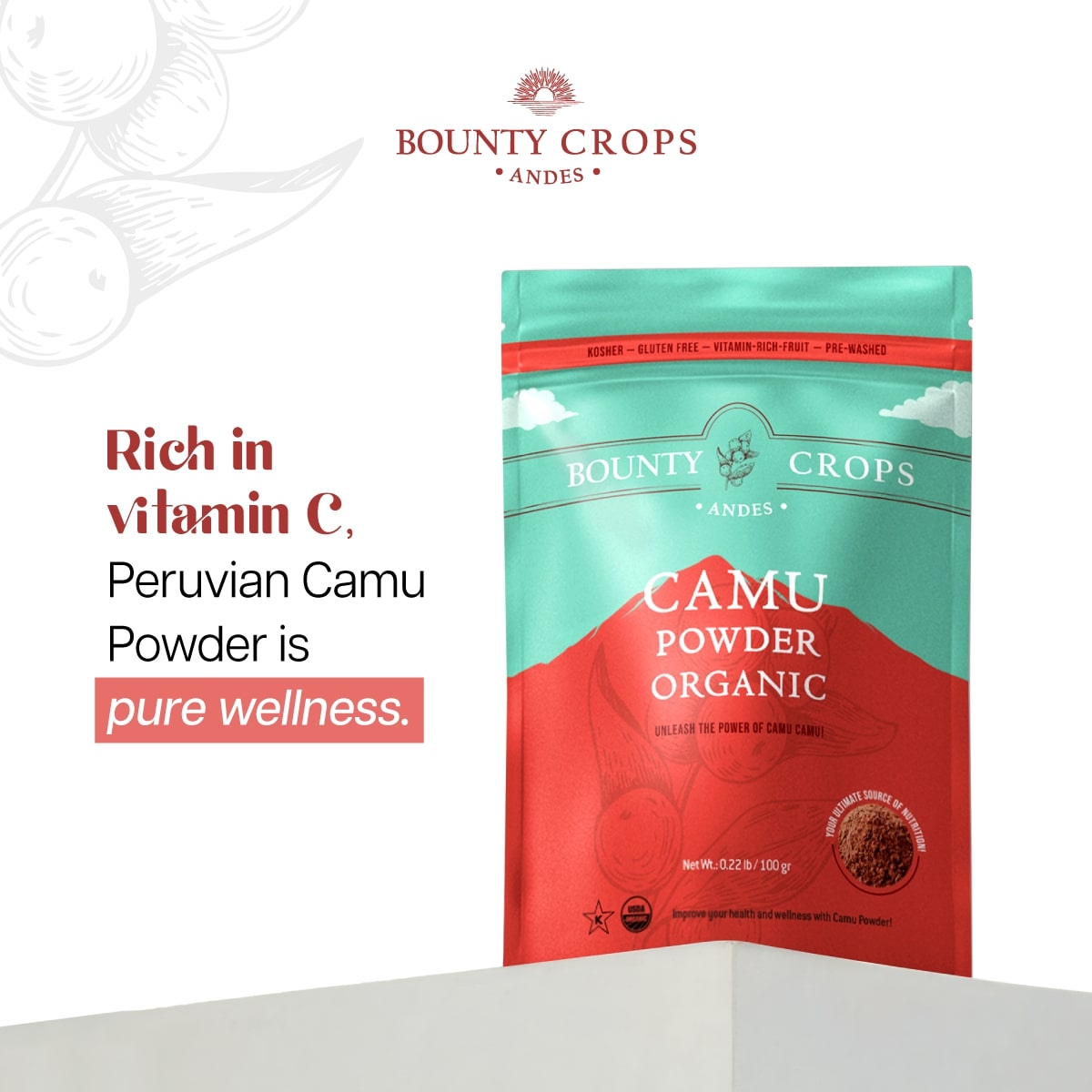 Camu Powder Organic, 100 gr. / 3.53 oz. ($3.99 / ounce)